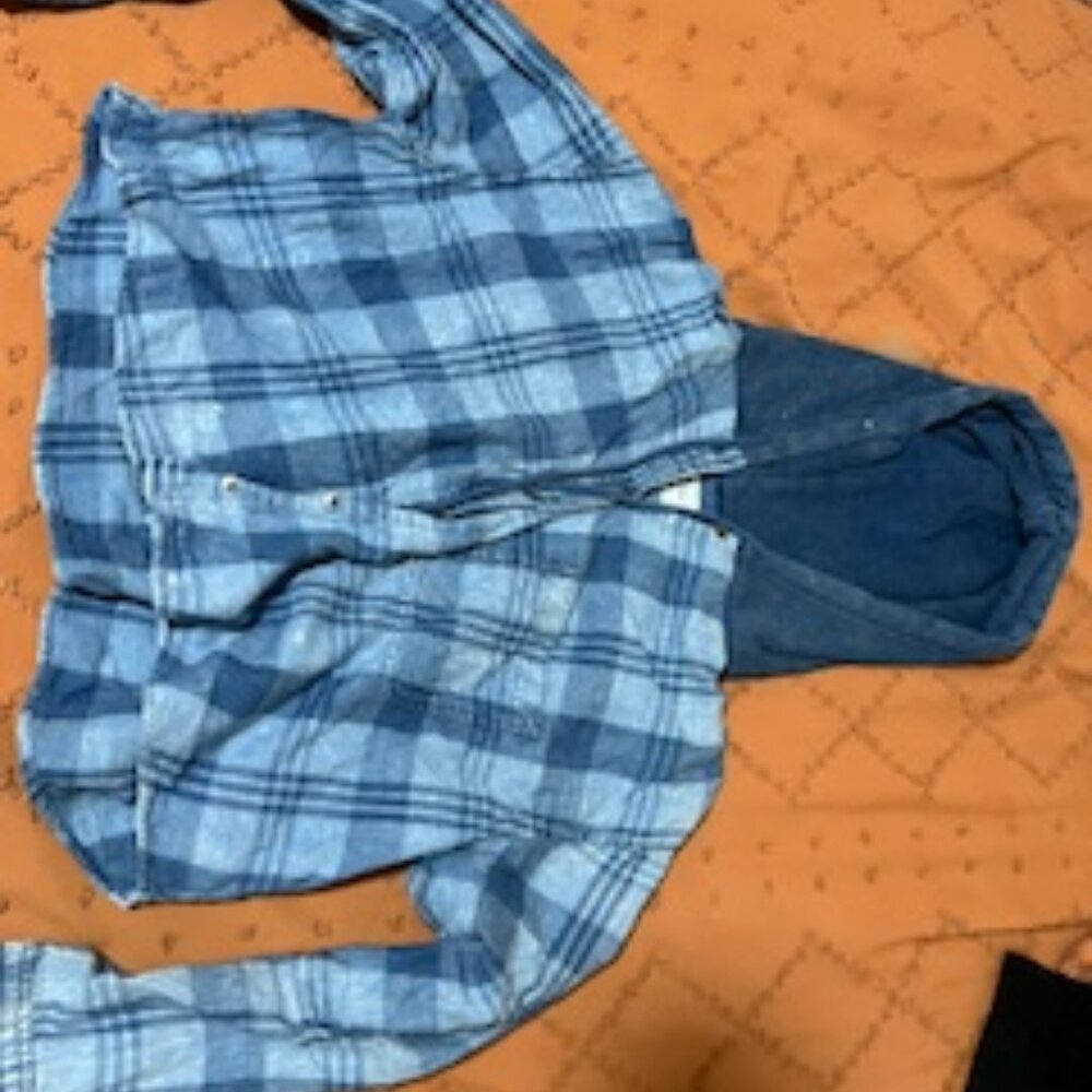American Eagle blue cropped flannel hoodie